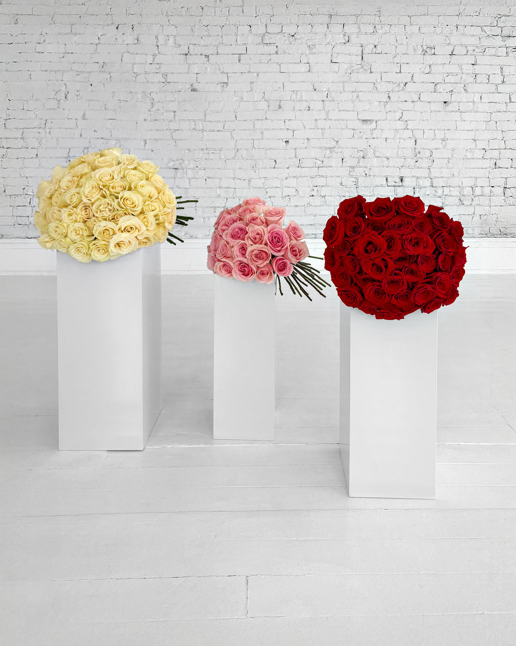 Signature Roses