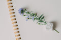 Dec. 28: A Year in Bloom - Vision Board Making