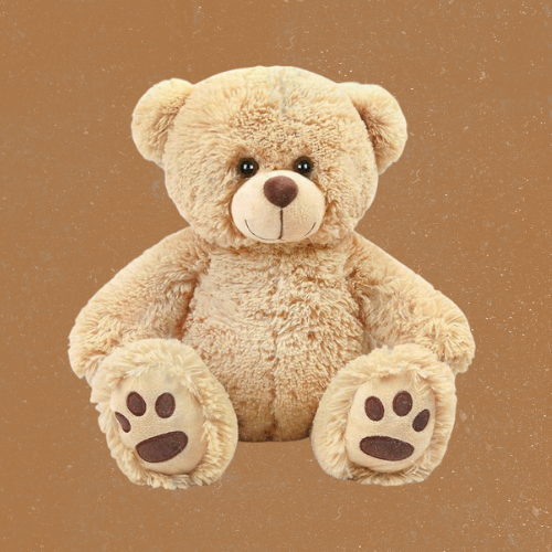 Plush Teddy Bear